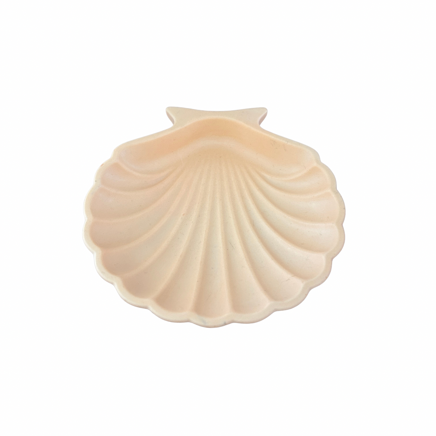 Coupelle coquillage Life and home