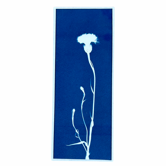 Cyanotype Heol glas