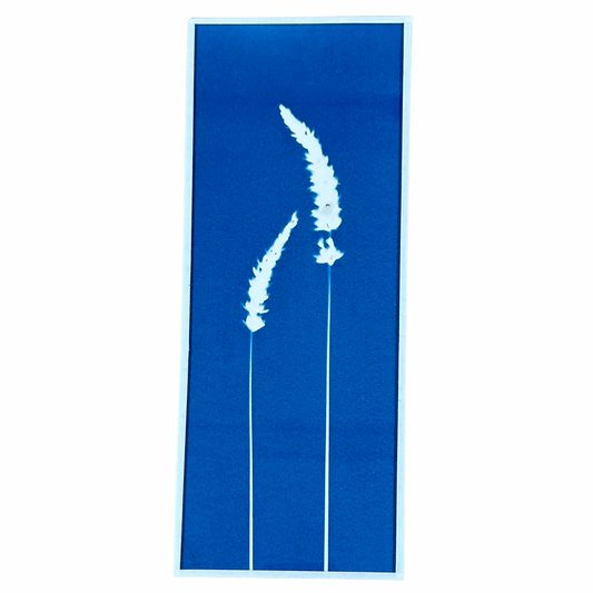 Cyanotype Heol glas