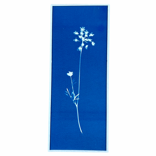 Cyanotype Heol glas