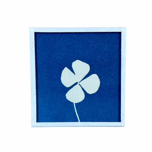Cyanotype Heol glas