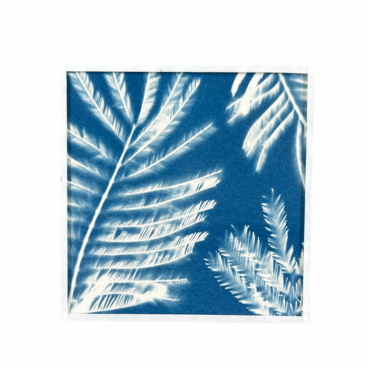 Cyanotype Heol glas