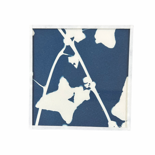 Cyanotype Heol glas