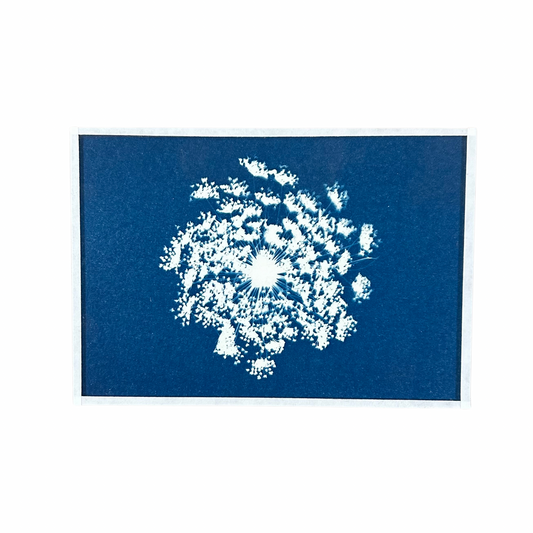 Cyanotype Heol glas