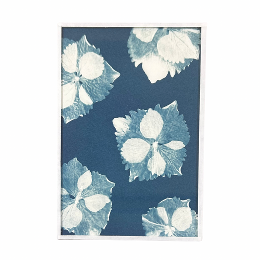 Cyanotype Heol glas
