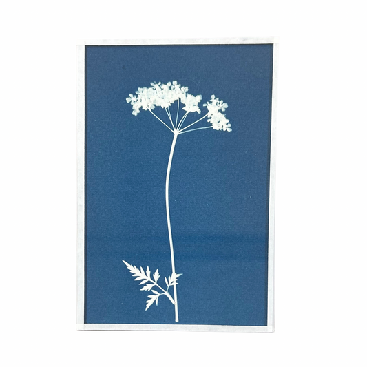 Cyanotype Heol glas