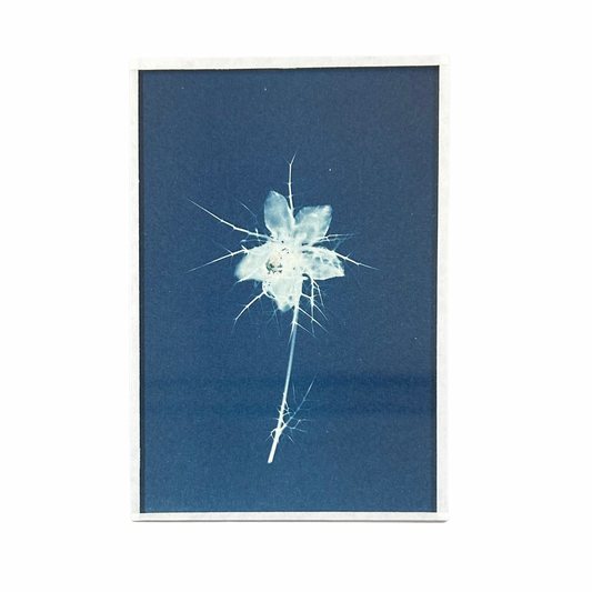 Cyanotype Heol glas