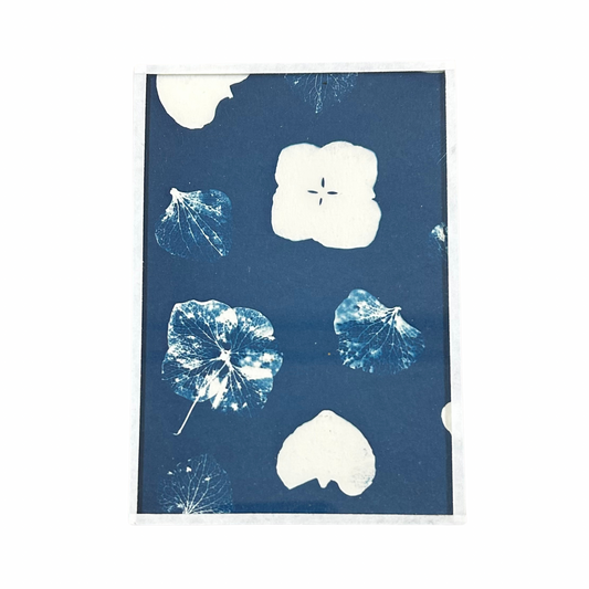 Cyanotype Heol glas